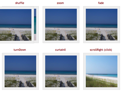 picture-6 picture-6