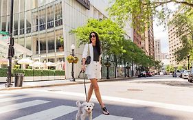 Sofitel Chicago Magnificent Mile Hotel Exterior photo